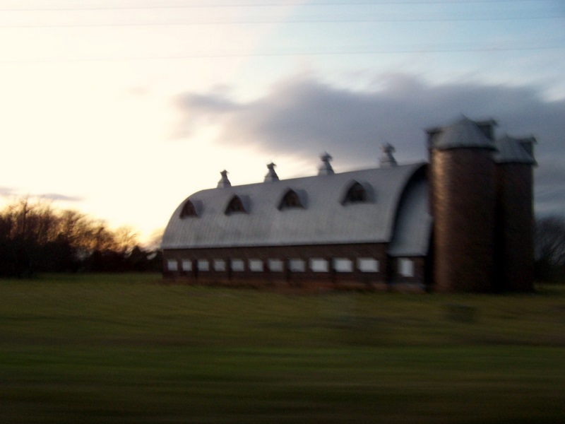 100_7833-1-edited